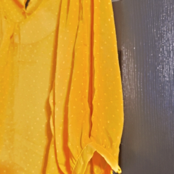 Xhilaration gold blouse size XXL - Picture 2 of 16